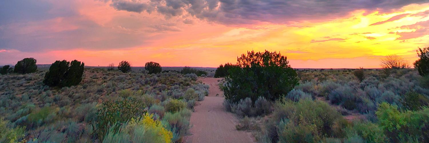 Outdoor landscape with a setting sun