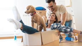 Two people and their dog playing in moving boxes. 