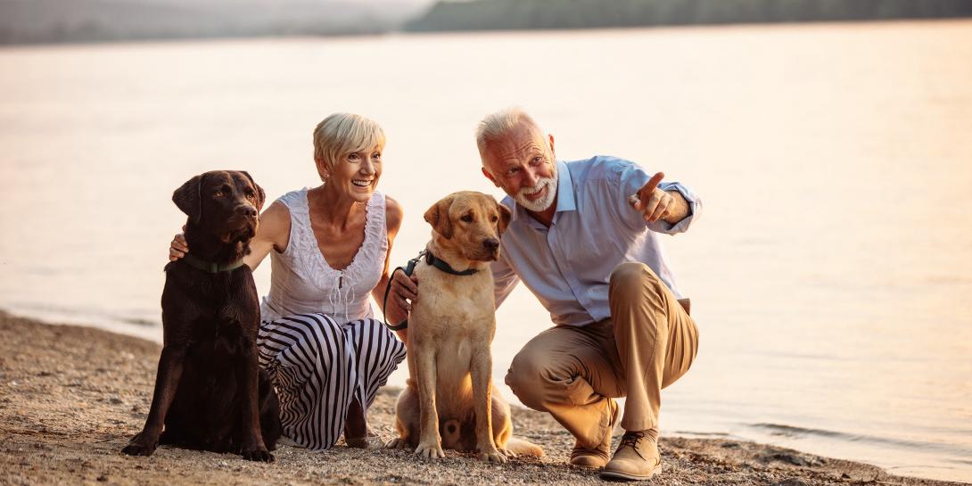 couple on the beach with their dogs